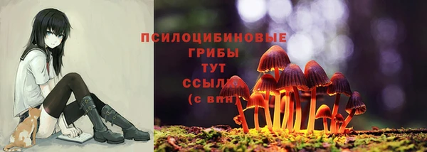 PSILOCYBIN Бронницы